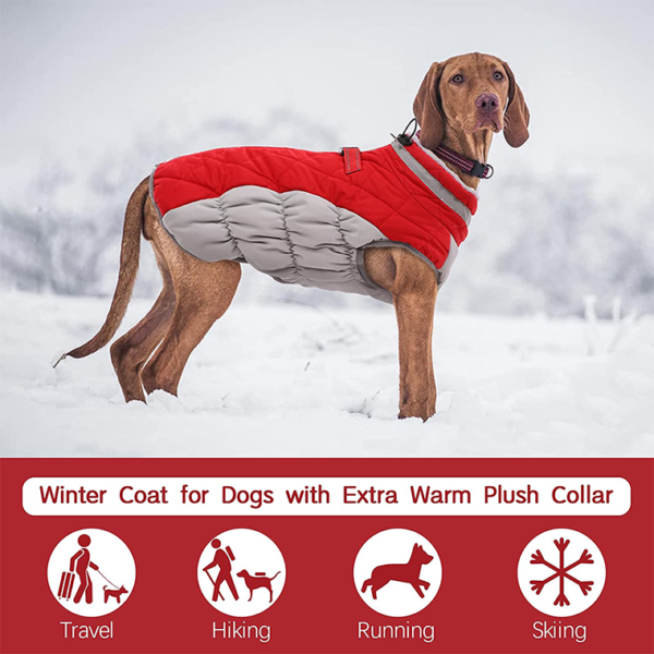 Dog Jacket - Image 2