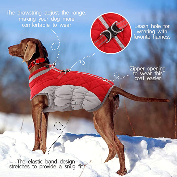 Dog Jacket - Image 4