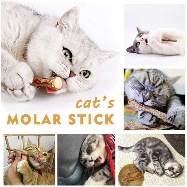 31 PCS Cat Toys - Image 4