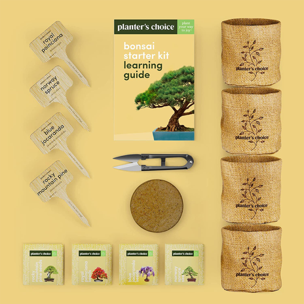 Bonsai Starter Kit - Image 4